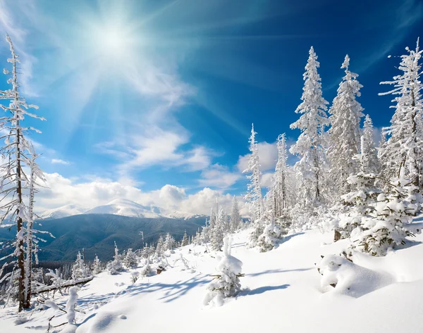 Montaña nevada sol paisaje —  Fotos de Stock