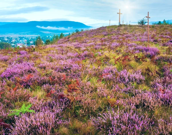 Summer heather flower hill and misty morning country view behind — Stock Photo, Image