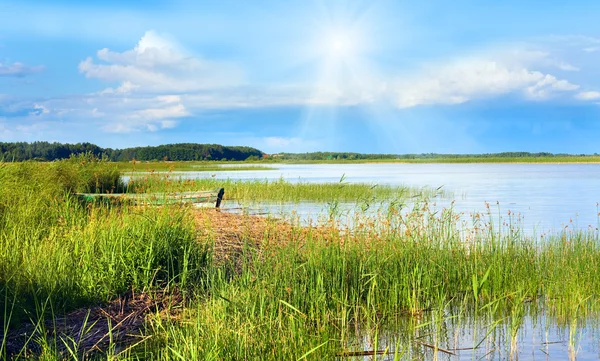 Summer rushy lake — Stock Photo, Image