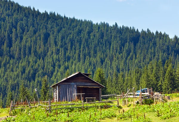 Sommaren mountain farm skjul — Stockfoto