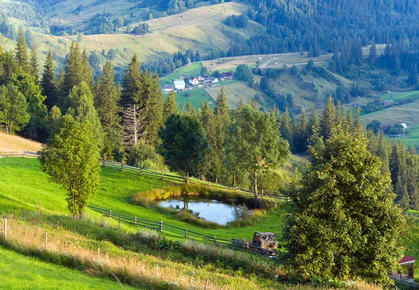 夏の小さなプールと山の風景 — ストック写真