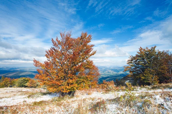 Pierwsza zima śnieg i jesienią kolorowych liści na górze — Zdjęcie stockowe