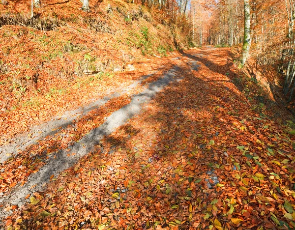 Autumn mountain dirty road — Stock Photo, Image