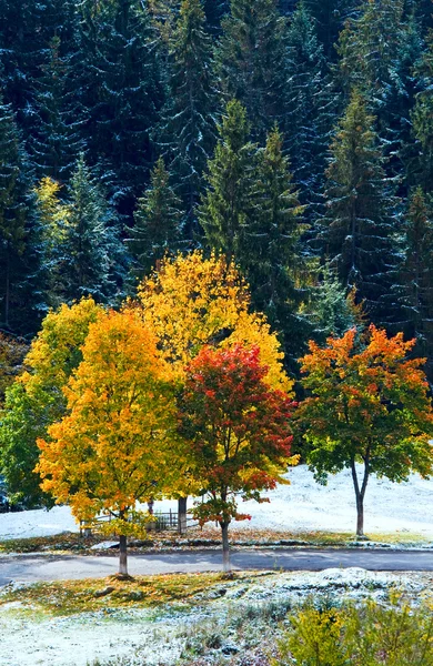 First winter snow and autumn colorful trees near mountain road — Stock Photo, Image