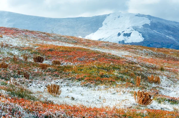 Erster Winterschnee und Herbst buntes Laub auf den Bergen — Stockfoto