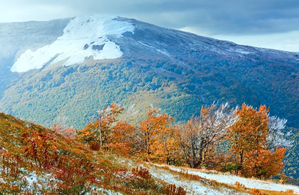 Pierwsza zima śnieg i jesienią kolorowych liści na górze — Zdjęcie stockowe