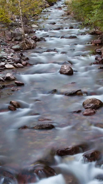 Čisté vody potoka — Stock fotografie