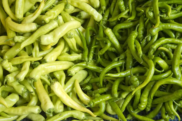 stock image Green chillis