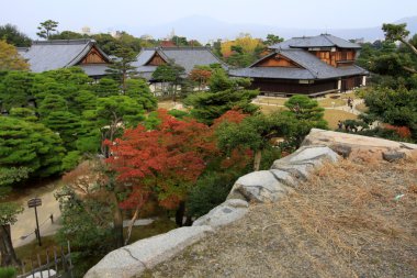 Nijo castle in colorful leaf and tree in japan : Kouyou clipart