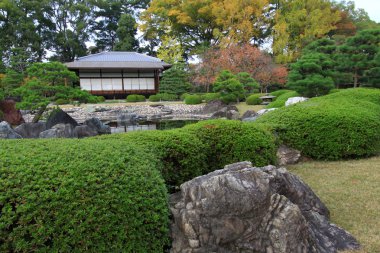 Renkli yaprak ve ağaç Japonya'da Nijo Kalesi: Kouyou