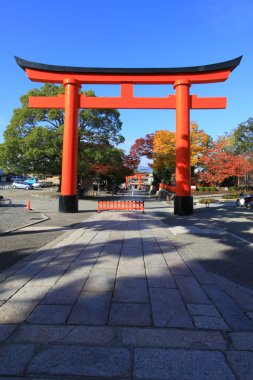 Torii renkli yaprak ve ağaç Japonya: Fujimi Inari Kouyou