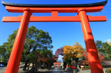 Torii renkli yaprak ve ağaç Japonya: Fujimi Inari Kouyou