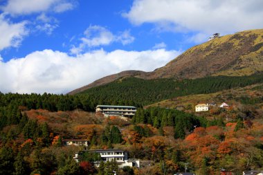 Renkli yaprak ve ağaç Japonya'da bina: Kouyou