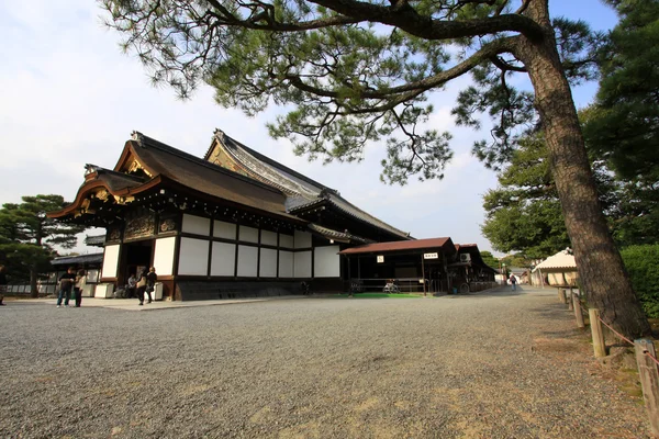 Castelo de Nijo em folha colorida e árvore no japão: Kouyou — Fotografia de Stock