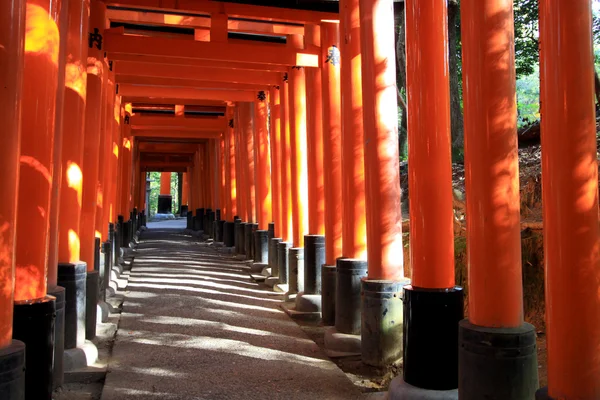 Torii v barevné listí a větve v Japonsku: Fujimi Inari Kyoto — Stock fotografie