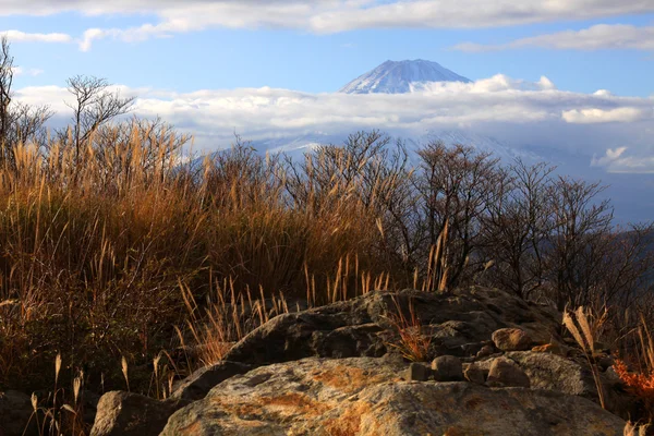 Красивая гора Фудзи осенью — стоковое фото