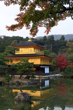 Kinkakuji Sonbahar sezonu - ünlü altın Köşk, kyoto, Japonya.