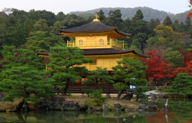 Kinkakuji Sonbahar sezonu - ünlü altın Köşk, kyoto, Japonya.