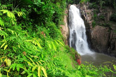 Narok şelale yontmak: Tayland güzel şelale Khaoyai Ulusal p