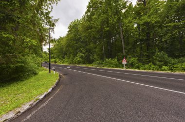 Road in a green forest clipart