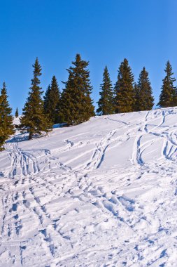 Wonderful winter landscape with blue sky