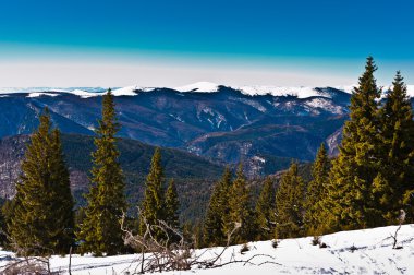 Wonderful winter landscape with blue sky