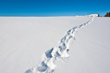 Wonderful winter-landscape with blue sky