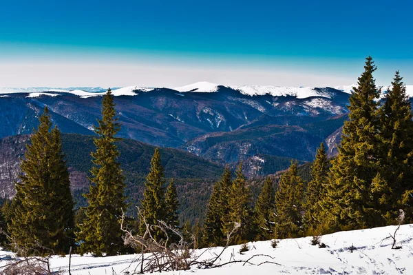 Wonderful winter landscape with blue sky — Stock Photo, Image