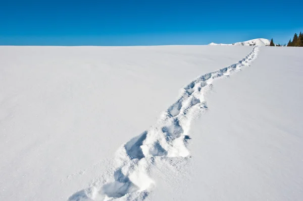 Underbart vinterlandskap med blå himmel — Stockfoto