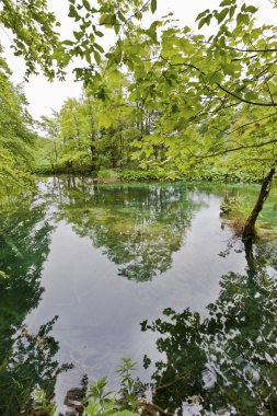 güzel manzara ile Hırvatistan plidvice göl
