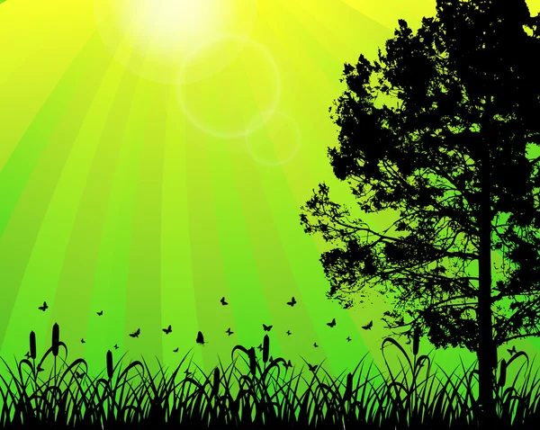 阳光对植物区系剪影 — 图库矢量图片