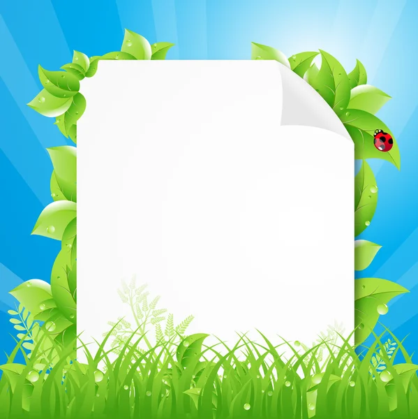 Fehér könyv a Banner a zöld fű — Stock Vector