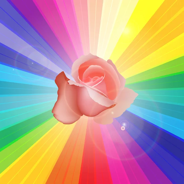 Rosa Rosenvektor auf farbigem Sonnenbrand — Stockvektor