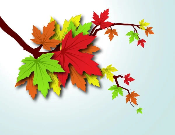 Belle Automne Feuilles d'automne Branche d'arbre Illustration — Image vectorielle