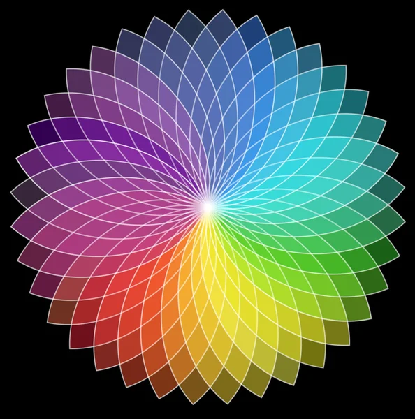 Ilustrace barevný květ bílý obrys — Stockový vektor