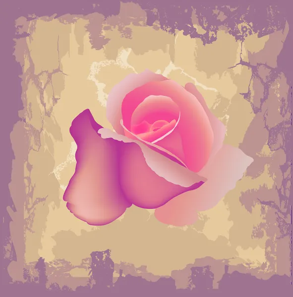 Rózsaszín rózsa vektor — Stock Vector