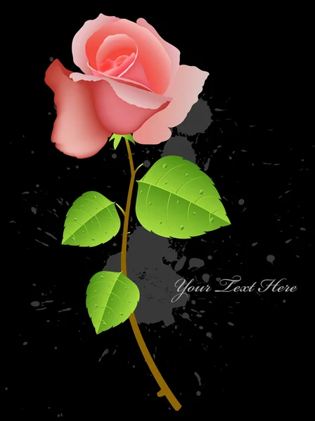 Rosa flor sobre fondo salpicado — Archivo Imágenes Vectoriales