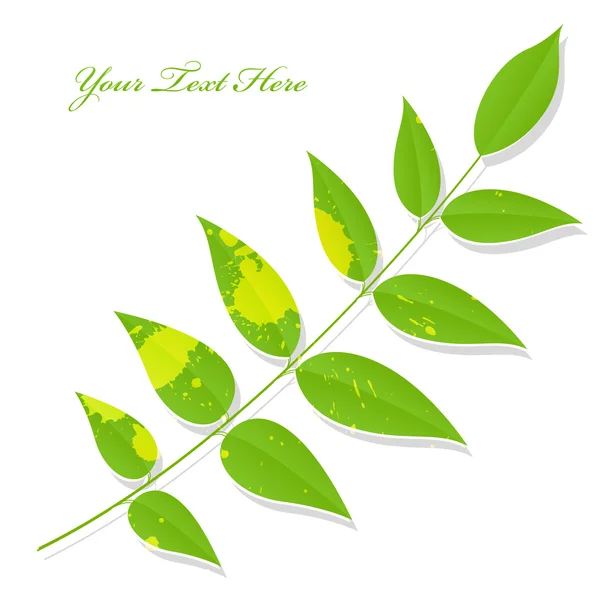 Galho de folha salpicado verde isolado — Vetor de Stock
