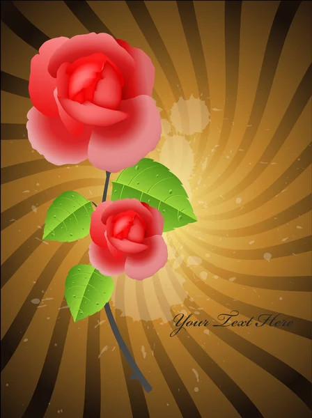 Planta Rose en Sunburst — Vector de stock