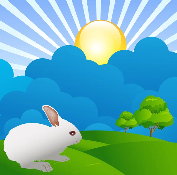 庭のかわいいウサギ — ストックベクタ