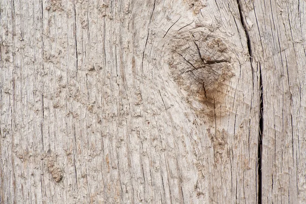 木の木目テクスチャ — Stockfoto