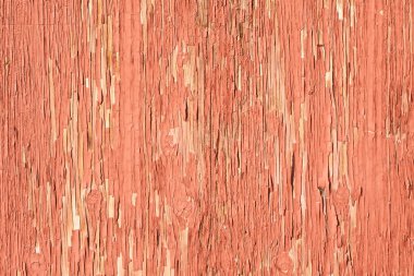 Knobby Wood Texture clipart