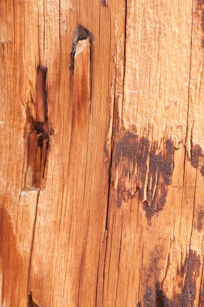 Altes Holz — Stockfoto