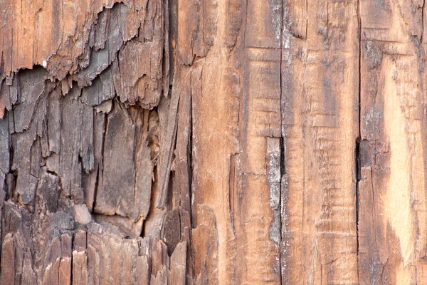 Schmutzige Holzstruktur beschädigen — Stockfoto