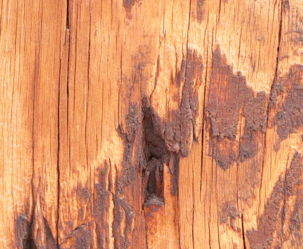 Diseño de textura de madera sucia — Foto de Stock