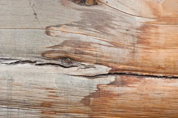 Design de textura de casca de árvore vintage — Fotografia de Stock