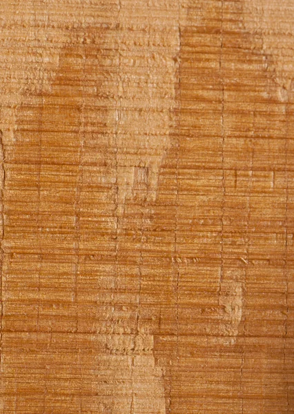 Dry Wood Texture Background — Stock Photo, Image