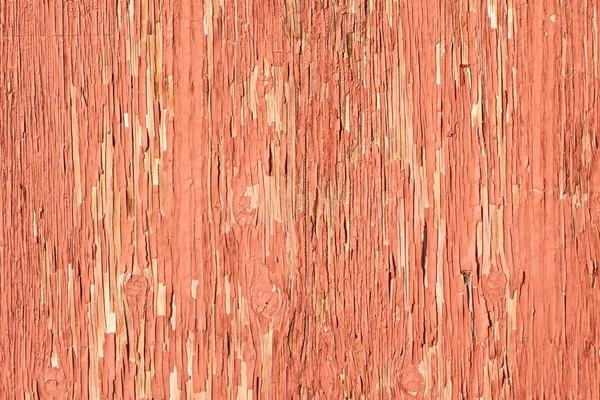 Textura de madera Knobby — Foto de Stock