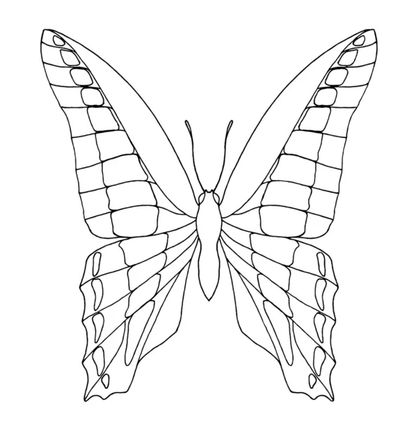 "Blue triangle" butterfly hand drawing with smoothed lines — Stock Photo, Image