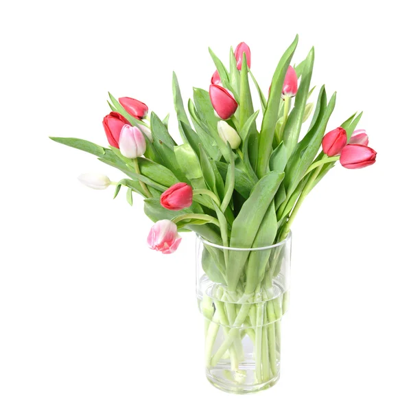 Ramo de tulipanes rosados, blancos y rojos en un jarrón de vidrio, aislado en — Foto de Stock